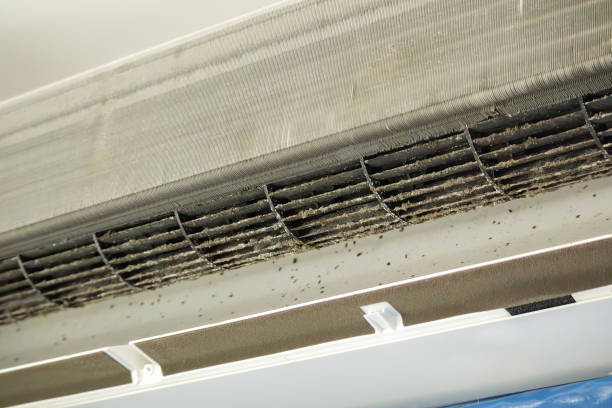 Best Affordable Air Duct Cleaning  in Oakboro, NC